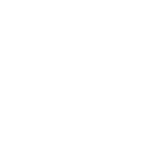 Flip